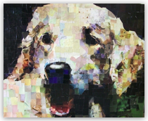 Charlie