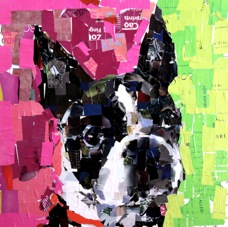 Uggie 20x24