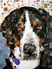 Blue German Shepherd-2,30x40 '10