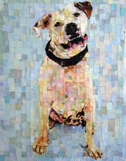 Dalmation,'09 30x30
