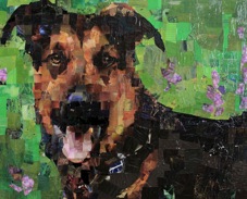 Flicker, '09 20 x 24