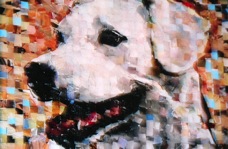 Simon, '08, 22x28